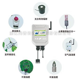 植物生理生態監測係統 植物生理生態監測係統