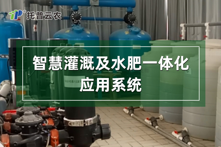 水肥一體化管理係統