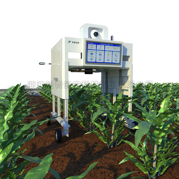 無人車式植物高通量表型采集分析平台(橫跨式)TP-GTL-ARD