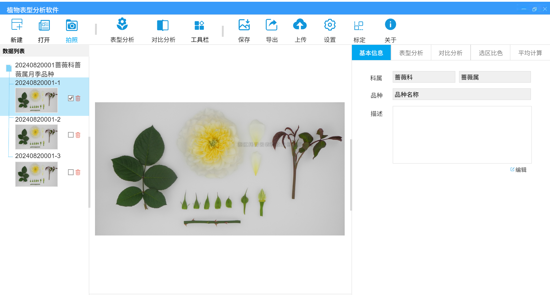 植物表型自動化分析軟件