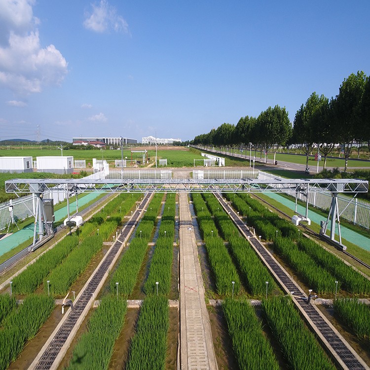 龍門式高通量表型采集分析平台(地軌式)TPN-GTL-GT1