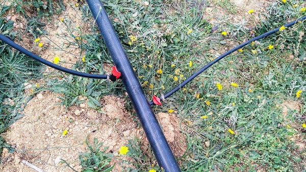 水肥一體化 水肥一體化