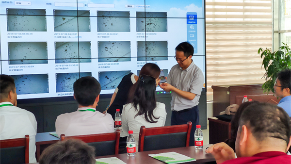 朱旭華副總經理與代表們圍繞蟲情測報深入交流 朱旭華副總經理與代表們圍繞蟲情測報深入交流