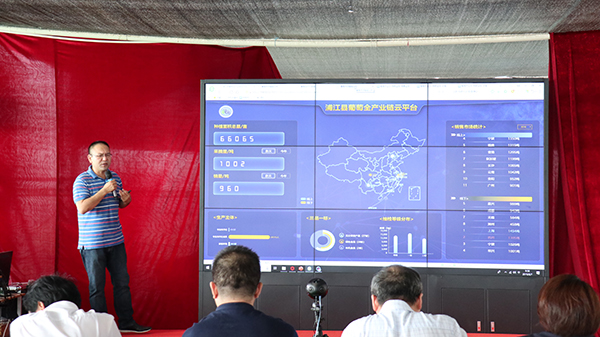 浙江森特浦江縣葡萄全產業鏈雲平台展示 浙江森特浦江縣葡萄全產業鏈雲平台展示