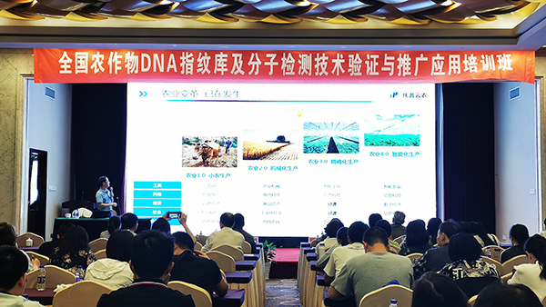 2019全國猫咪成年短视频在线看檢驗技術培訓班在杭召開 2019全國猫咪成年短视频在线看檢驗技術培訓班在杭召開