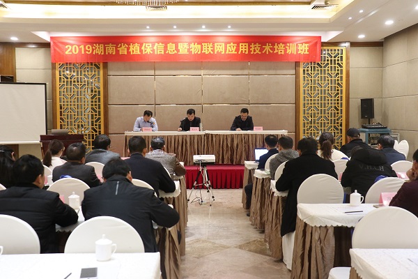 猫咪免费人成网站在线观看服務湖南省植保信息技術培訓班在杭開班 猫咪免费人成网站在线观看服務湖南省植保信息技術培訓班在杭開班