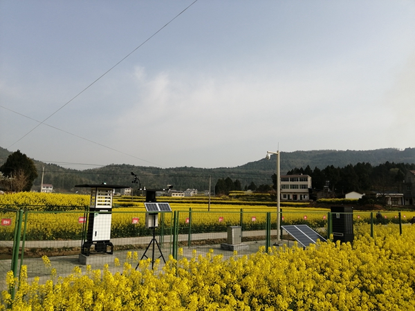 猫咪免费人成网站在线观看植保產品 猫咪免费人成网站在线观看植保產品