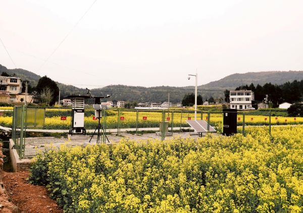 猫咪免费人成网站在线观看病蟲害監測點 猫咪免费人成网站在线观看病蟲害監測點