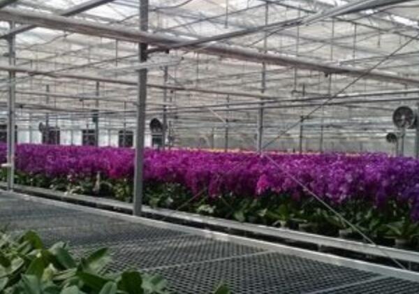 設施農業 設施農業