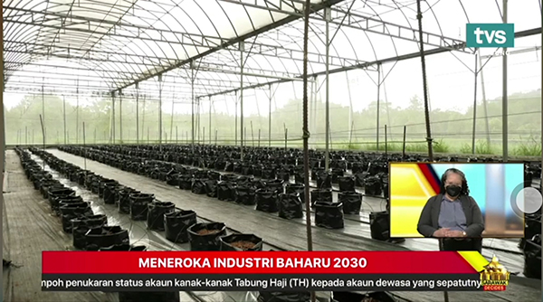 1639372701770038.jpg 3.jpg