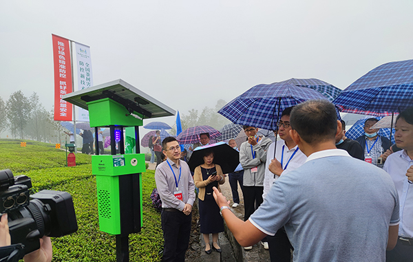 中國農業科學院孫坦副院長觀摩茶園殺蟲燈綠色防控 中國農業科學院孫坦副院長觀摩茶園殺蟲燈綠色防控