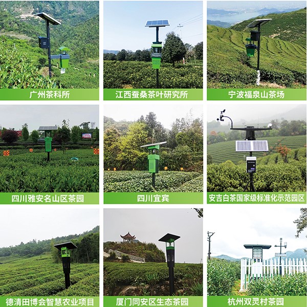 猫咪免费人成网站在线观看茶園綠色防控技術方案應用 猫咪免费人成网站在线观看茶園綠色防控技術方案應用