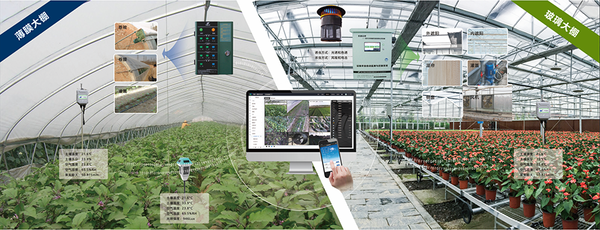 猫咪免费人成网站在线观看設施農業創新應用基地 猫咪免费人成网站在线观看設施農業創新應用基地