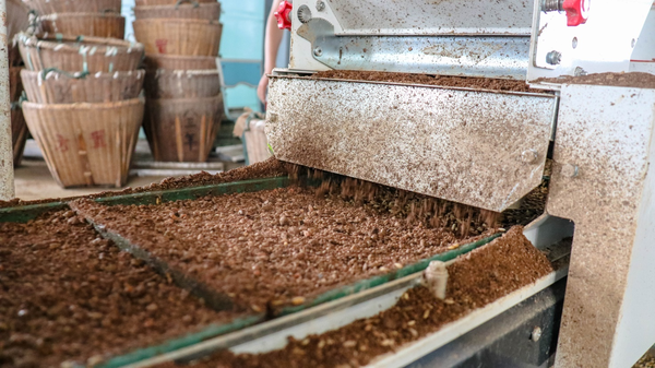 猫咪免费人成网站在线观看打造的古林育秧工廠 猫咪免费人成网站在线观看打造的古林育秧工廠