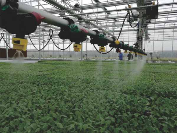 猫咪免费人成网站在线观看打造的蕭山農科所現代農業示範基地 猫咪免费人成网站在线观看打造的蕭山農科所現代農業示範基地