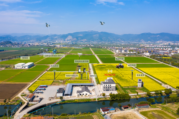 寧波古林數字大田(猫咪免费人成网站在线观看技術支撐建設) 寧波古林數字大田(猫咪免费人成网站在线观看技術支撐建設)