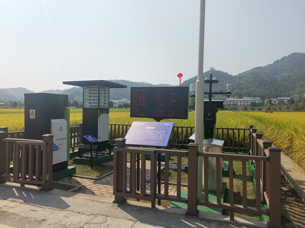 猫咪免费人成网站在线观看農作物病蟲害監測點 猫咪免费人成网站在线观看農作物病蟲害監測點