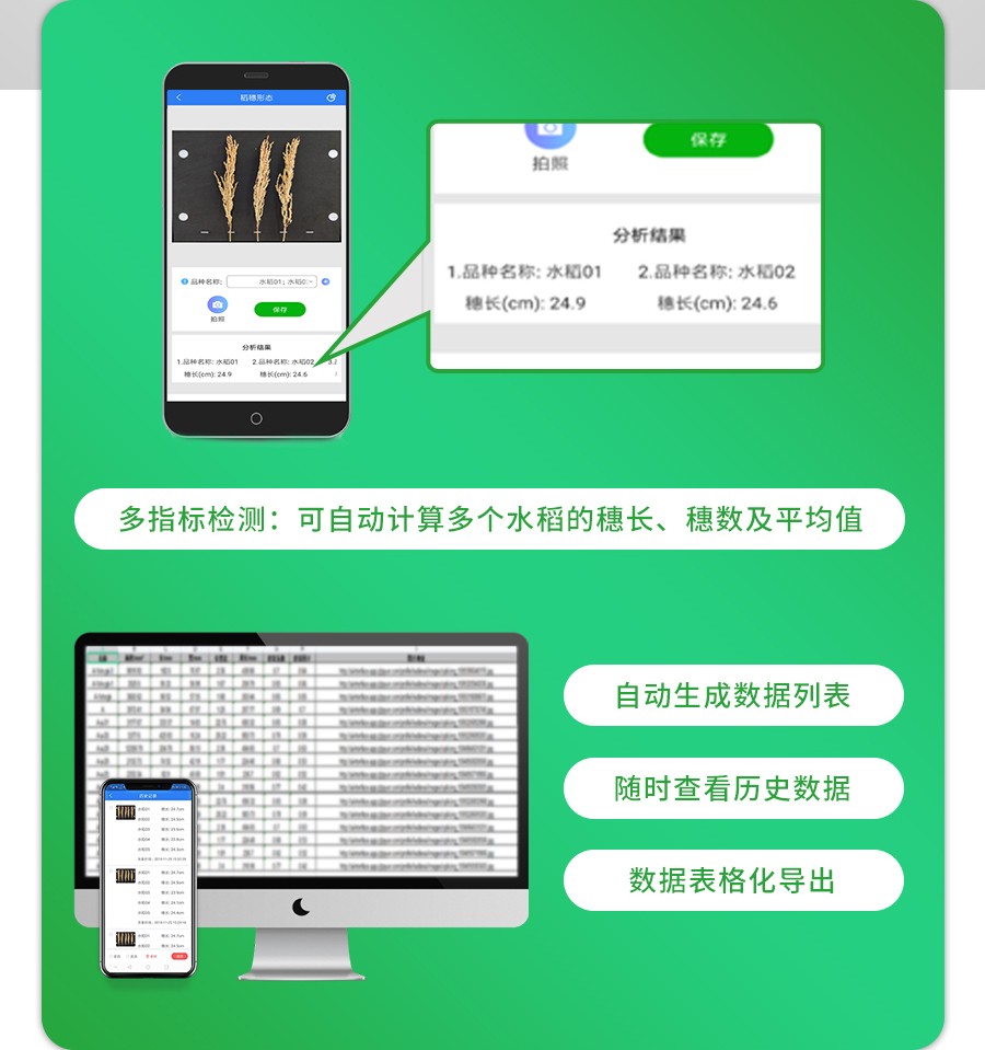 稻穗形態測量儀 稻穗形態測量儀