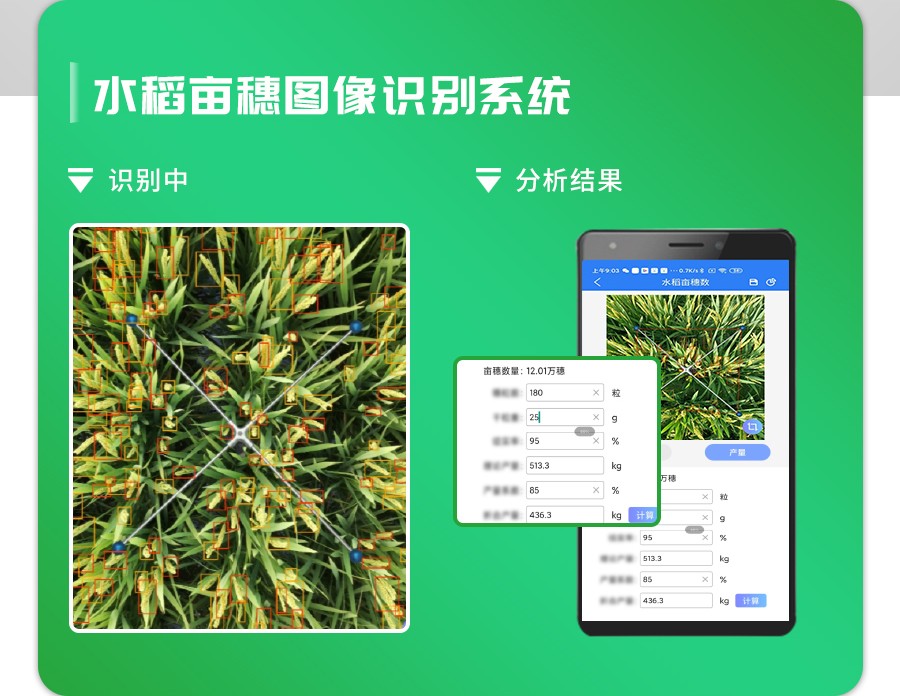 水稻畝穗數測量係統 水稻畝穗數測量係統