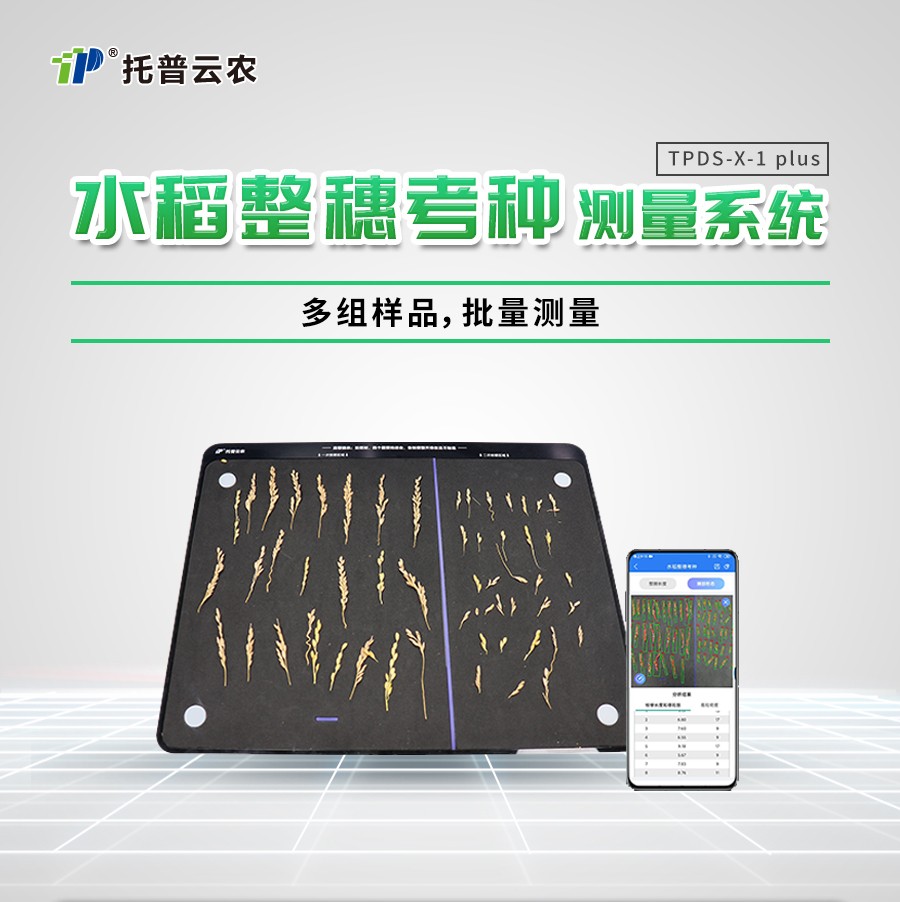 水稻整穗考種測量係統 水稻整穗考種測量係統