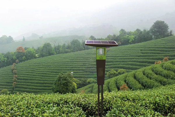 1678859576653657.jpg 4_副本.jpg