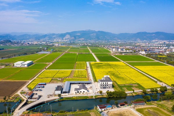 1684161740451357.jpg 2.jpg