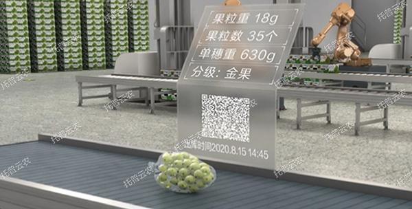 1685948392207602.jpg 4.jpg