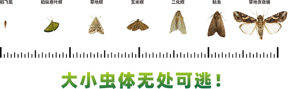 1689326814179813.jpg 3.jpg