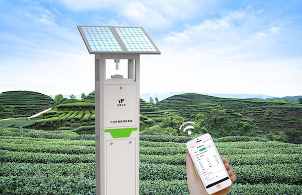 1695450506153802.png 小蟲體自動測報係統.png