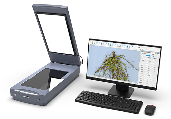 1713318024316155.png 根係分析係統.png