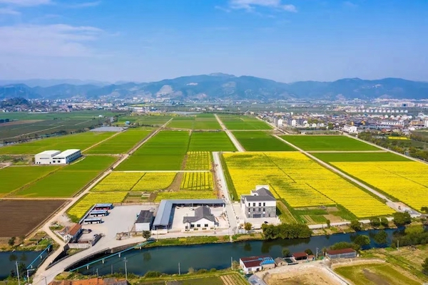 1713950269292691.jpg 3寧波海曙古林數字大田.jpg