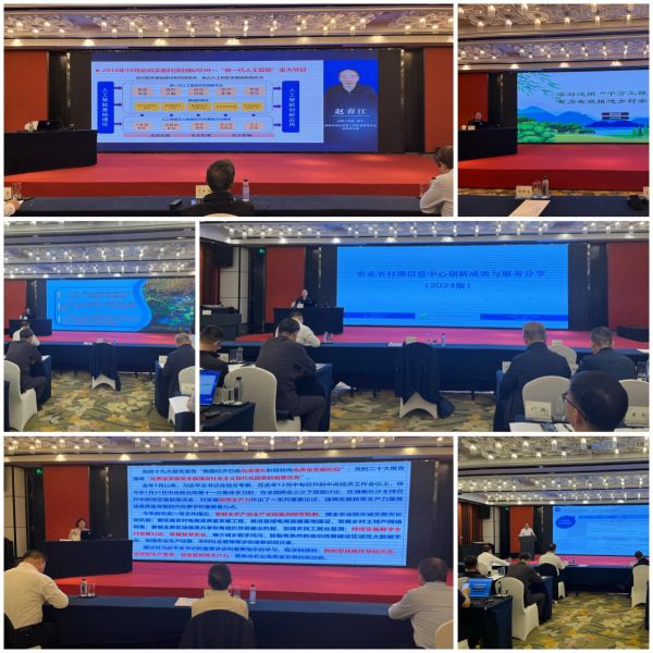 1714465277458149.jpg SEO (3).jpg