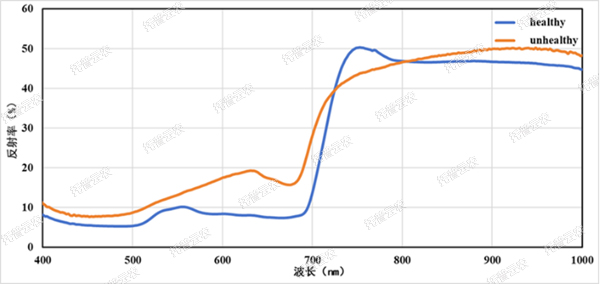 1722995322660540.jpg 高光譜植物數字采集分析係統-2.jpg