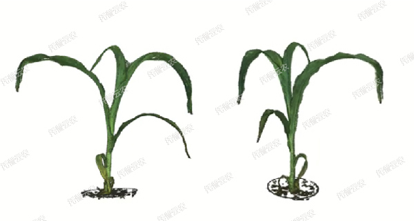 1723009899471880.jpg 逆境模擬及植物生長監測平台-3維.jpg