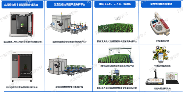 1725441639367608.png 7.png