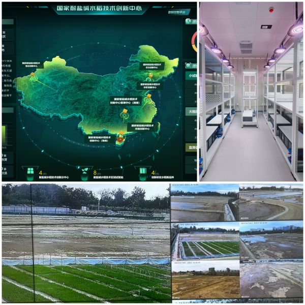 1725613434301245.jpg seo2.jpg