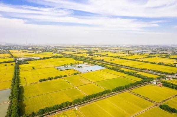 1735203732131021.jpg 1.jpg