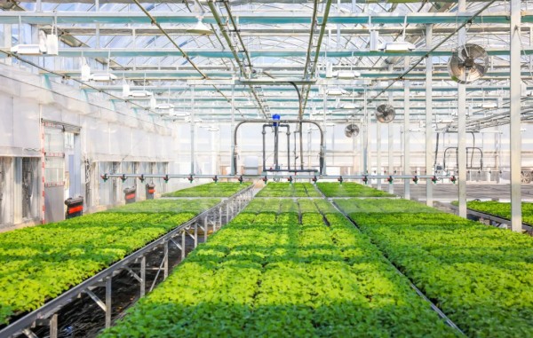 1739869840539013.jpg 謝徑安中心_副本.jpg