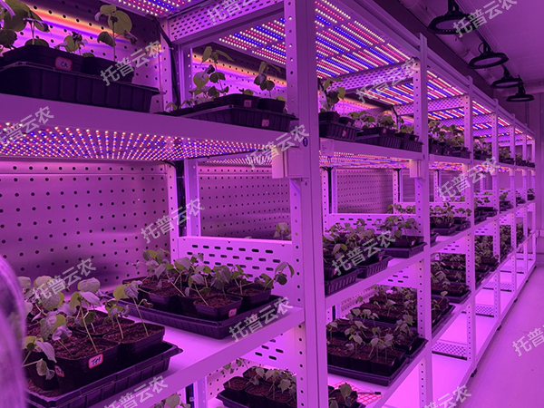 1741674479473166.png 3.png