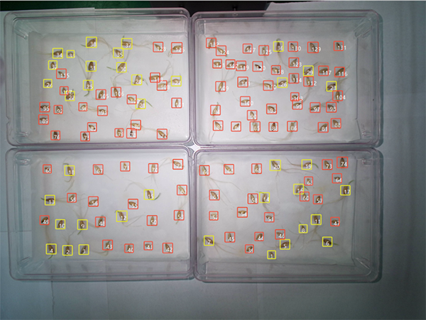 1742202568643659.png 6.png