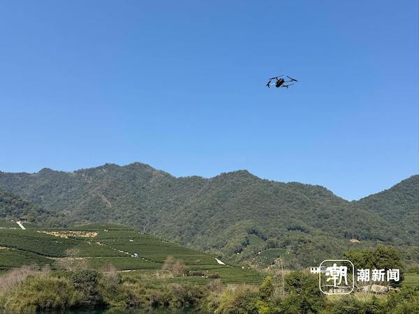 1742808024787445.jpg 3.jpg