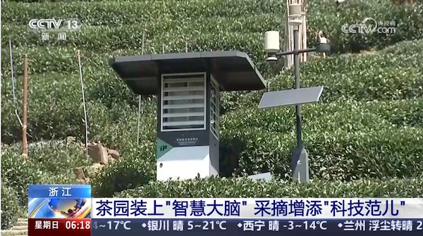 1743408414892172.jpg 1.jpg