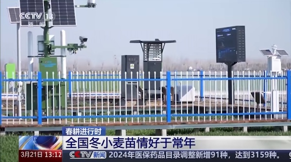 1743409131286666.jpg 2.jpg