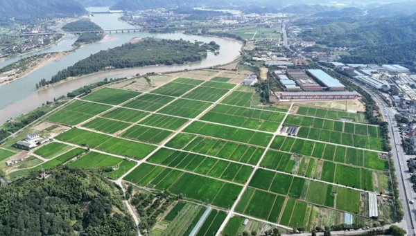 1744102905905801.jpg QQ瀏覽器截圖20250408170109.jpg