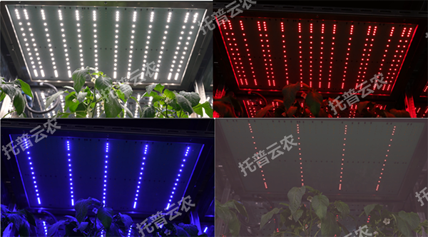 1744708253224731.png 圖片2.png