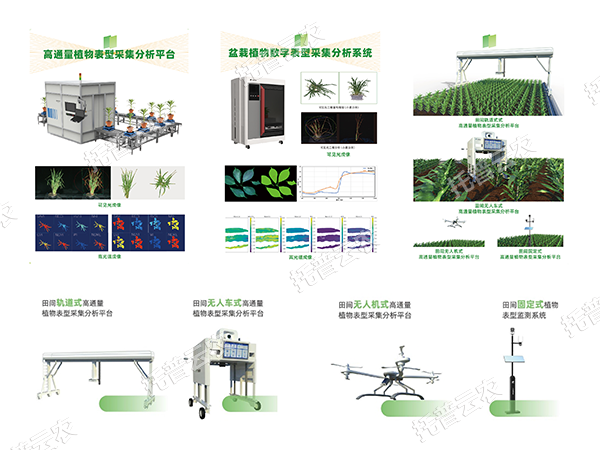 1748591477299462.png 圖片1.png