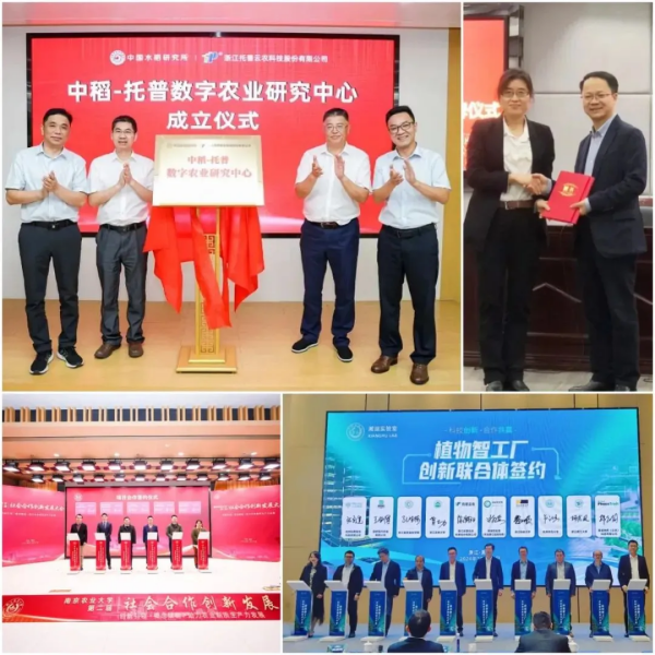 1749086394447175.png SEO圖6.png