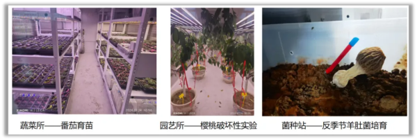 1749603867180983.png 圖片2.png