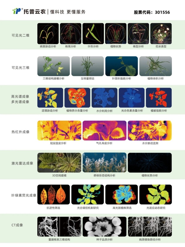 1754276639770890.jpg 植物表型二_副本.jpg