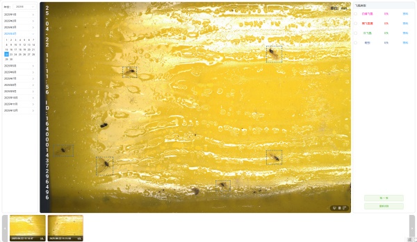 1754280209572758.jpg 2025.4.22 蚜蟲9頭_副本.jpg